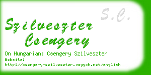 szilveszter csengery business card